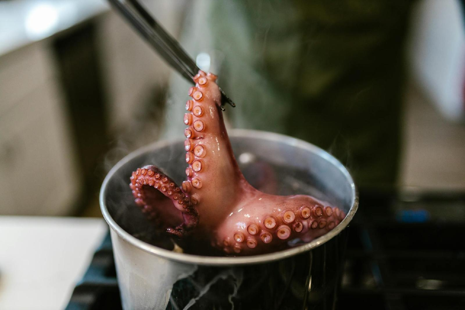 La cuisson parfaite pour savourer la pieuvre et le poulpe